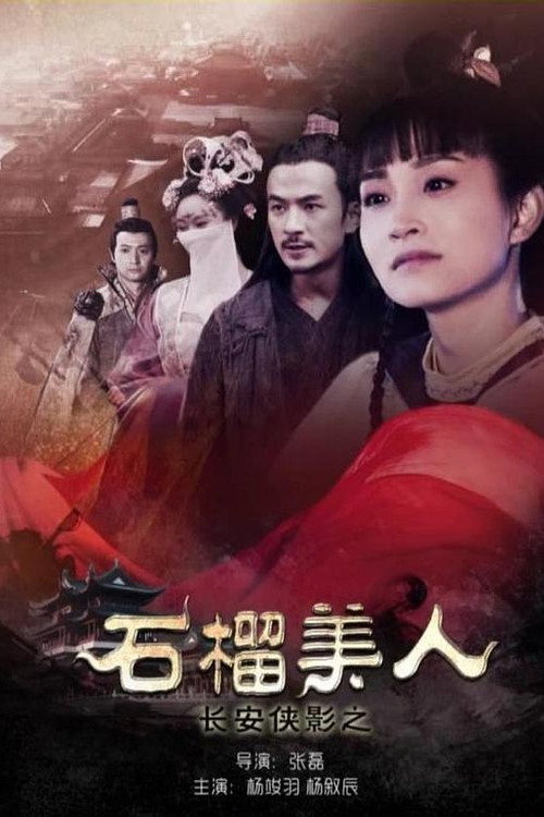 长安侠影之石榴美人 封面