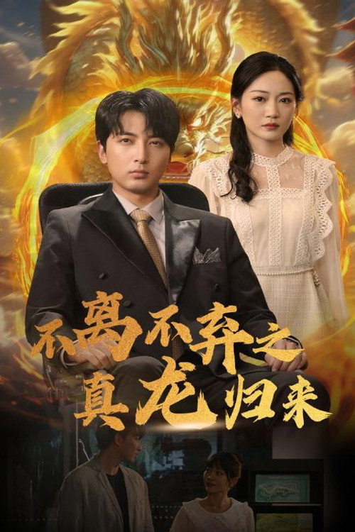 不离不弃之真龙归来 封面