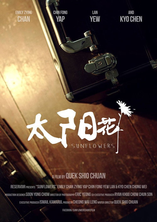 太阳花 封面