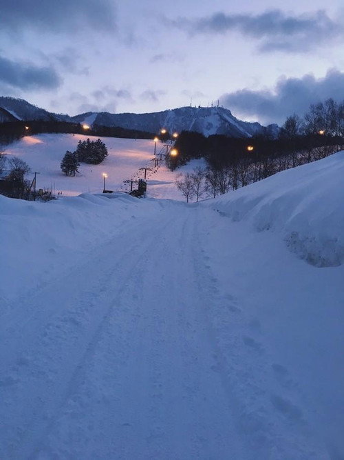 北海道物语 封面