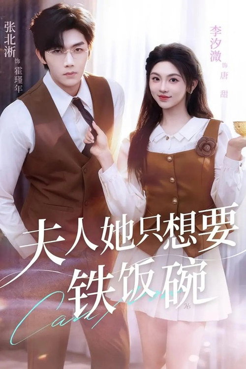 夫人她只想要铁饭碗 封面