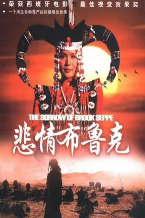 悲情布鲁克 封面