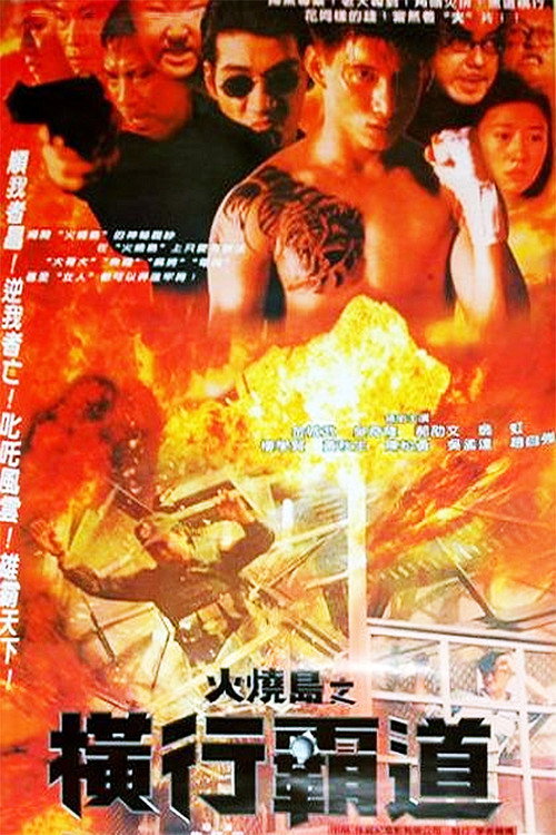 火烧岛之横行霸道 封面