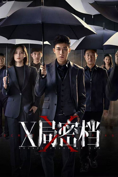 X局密档 封面