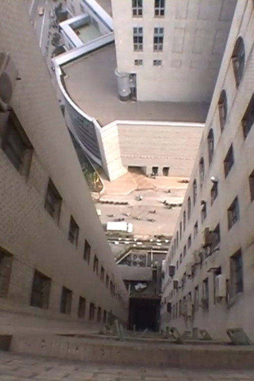 The Curve Which Can Cough 封面