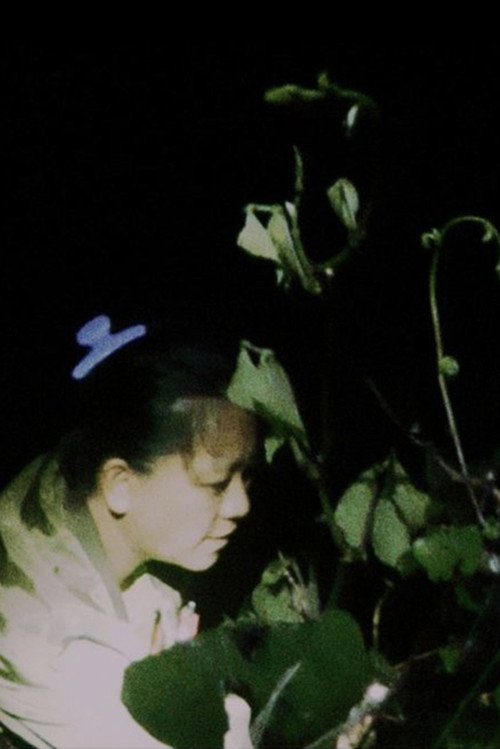Co mo li 封面