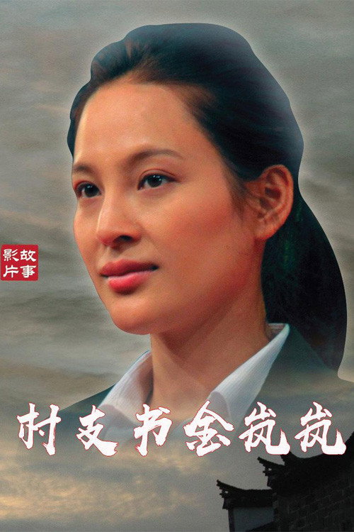 村支书金岚岚 封面