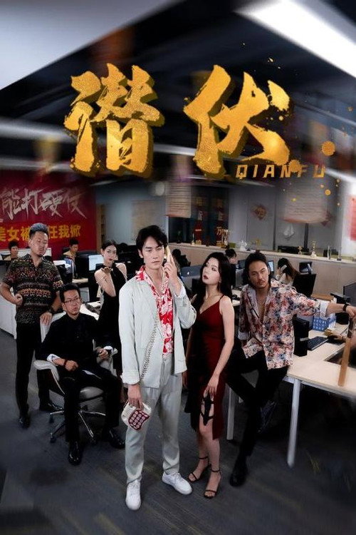 潜伏 封面