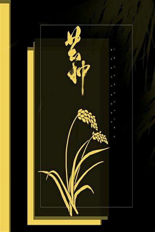 芒种 封面