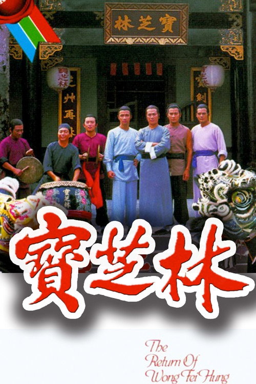 宝芝林 封面