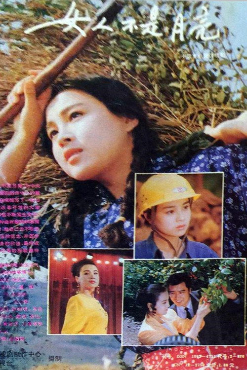 女人不是月亮 封面