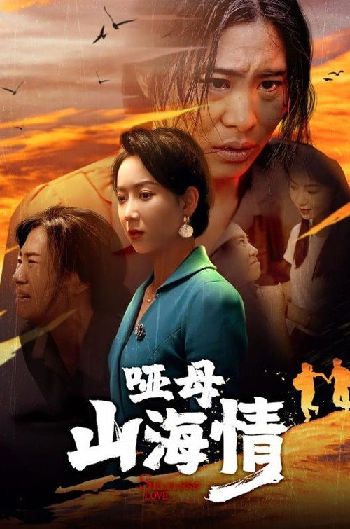 哑母山海情 封面