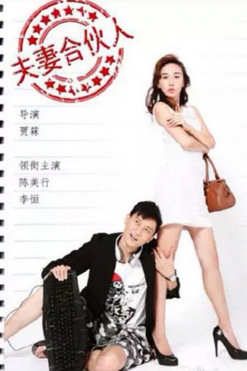 夫妻合伙人 封面