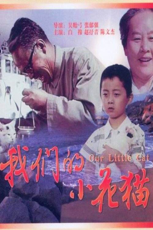 我们的小花猫 封面