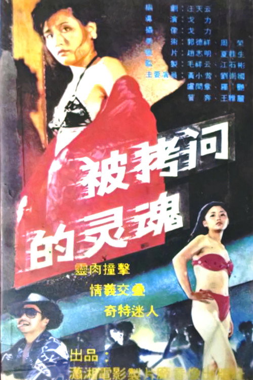 被拷问的灵魂 封面