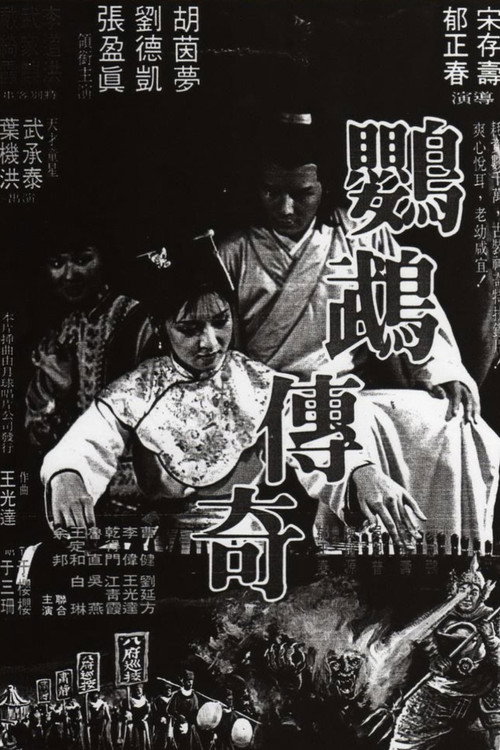 鸚鵡傳奇 封面
