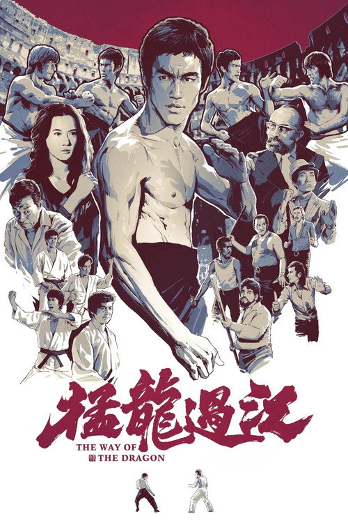 猛龙过江 封面