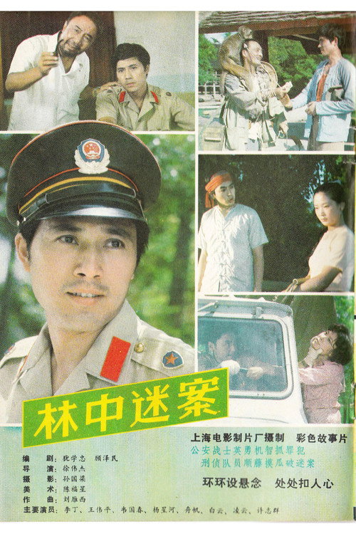 林中迷案 封面