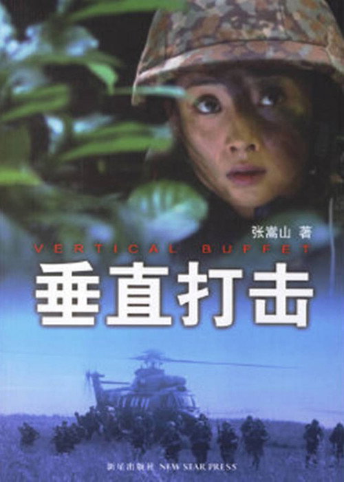 垂直打击 封面