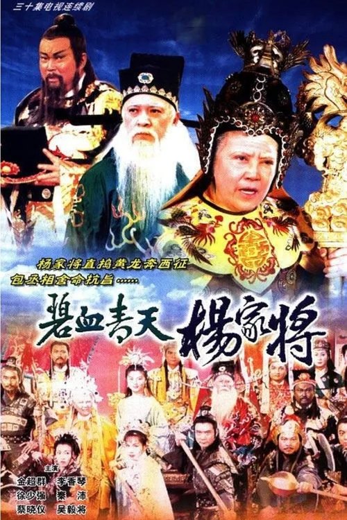 碧血青天杨家将 封面