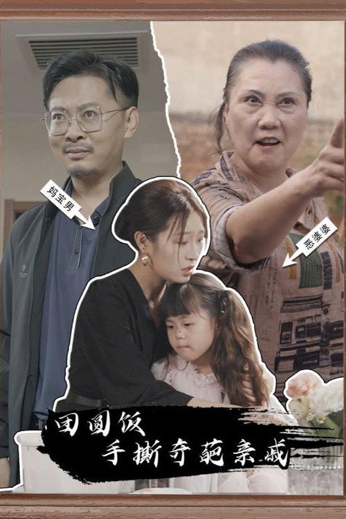 团圆饭手撕奇葩亲戚 封面
