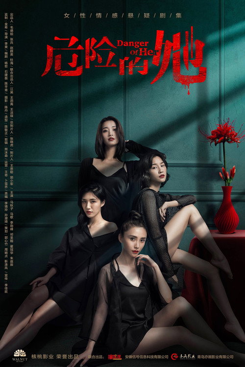危险的她 封面