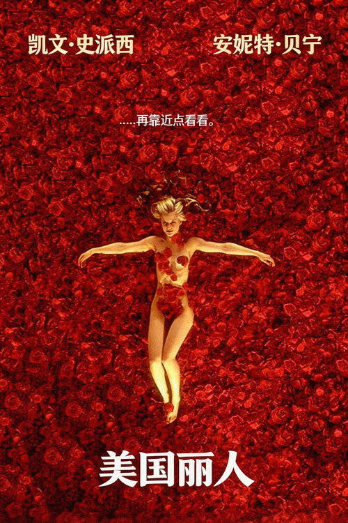美国丽人 封面