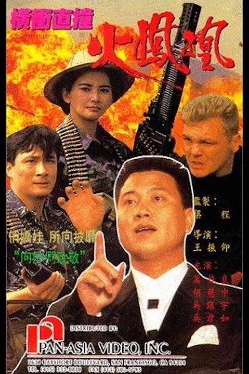 横冲直撞火凤凰 封面