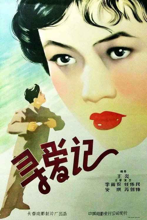 寻爱记 封面