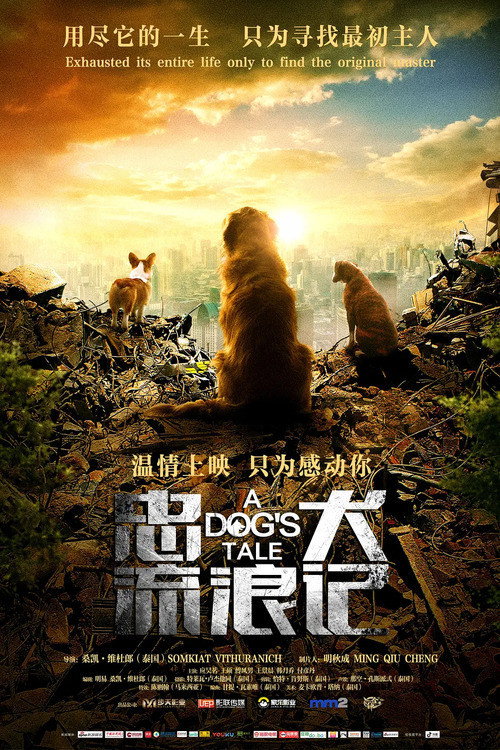 忠犬流浪记 封面