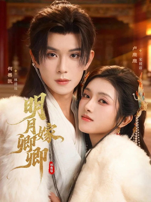 明月嫁卿卿 封面