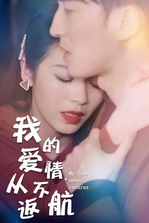 我的爱情,从不返航 封面