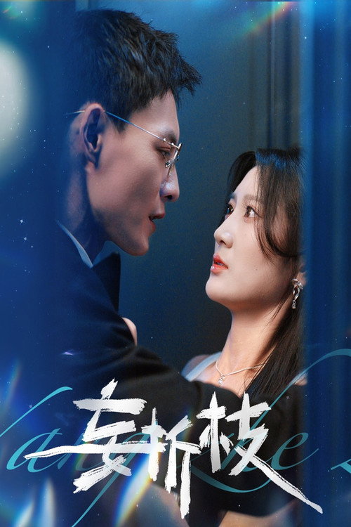 妄折枝 封面