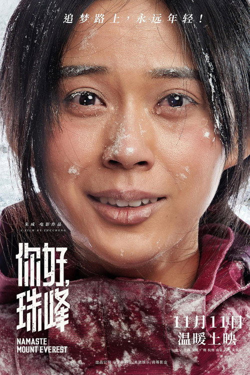 你好,珠峰 封面