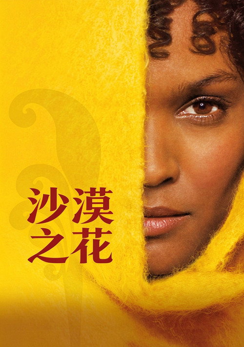 沙漠之花 封面