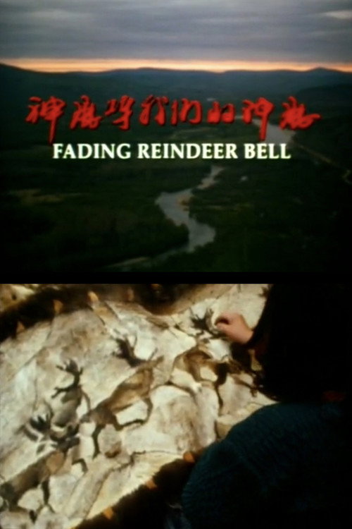 神鹿呀,我们的神鹿 封面