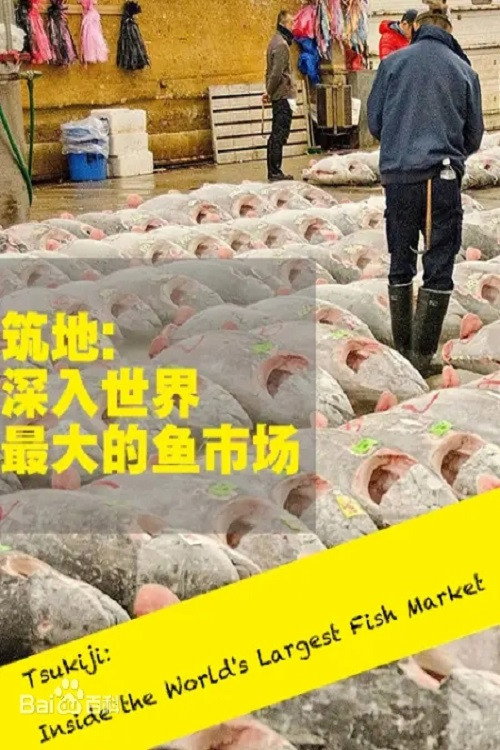 筑地 深入世界上最大的鱼市场 封面