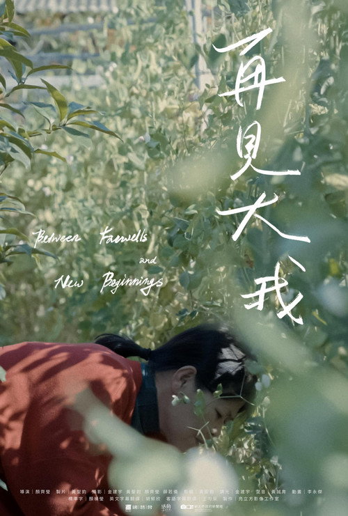 再見大我 封面