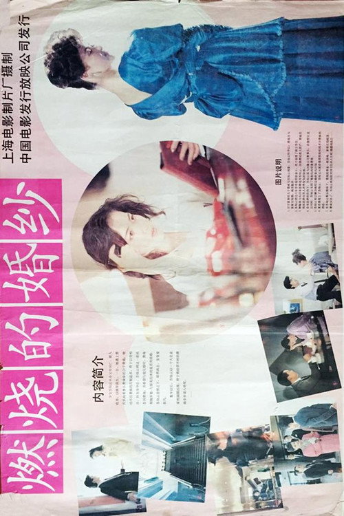 燃烧的婚纱 封面