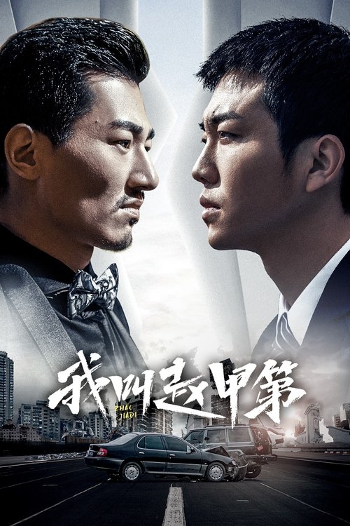我叫赵甲第 封面