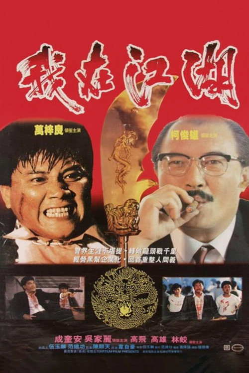 我在江湖 封面