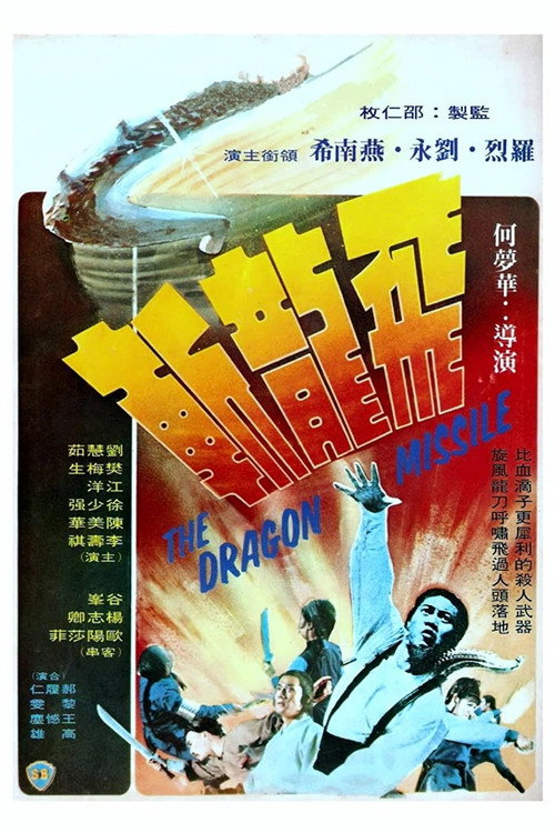 飞龙斩 封面