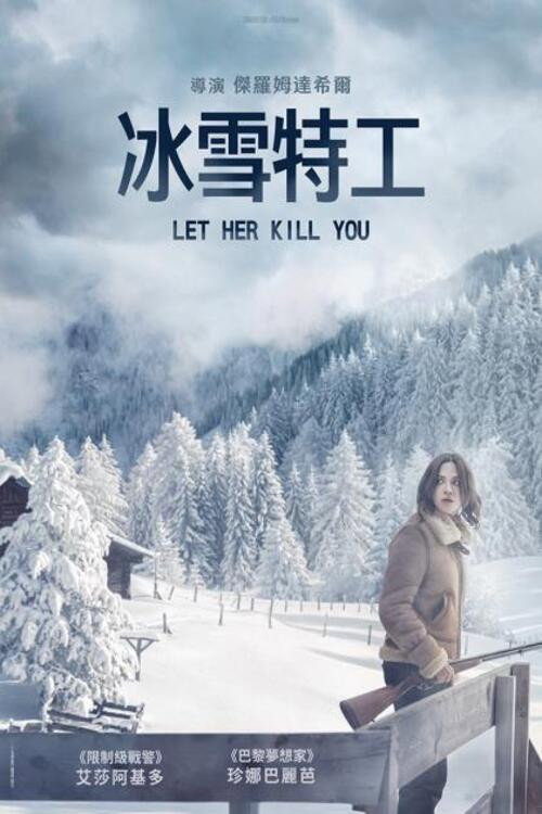 冰雪特工 封面