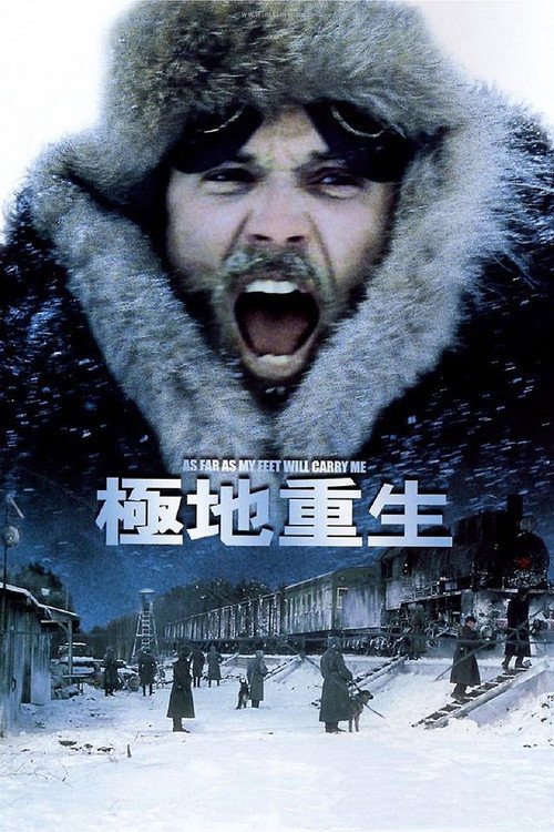 极地重生 封面