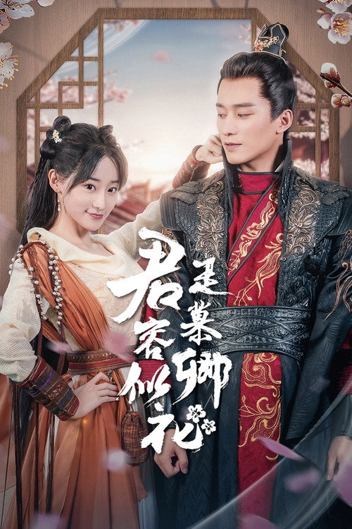 君是慕容卿似花 封面
