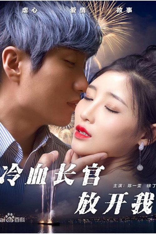冷血长官放开我 封面