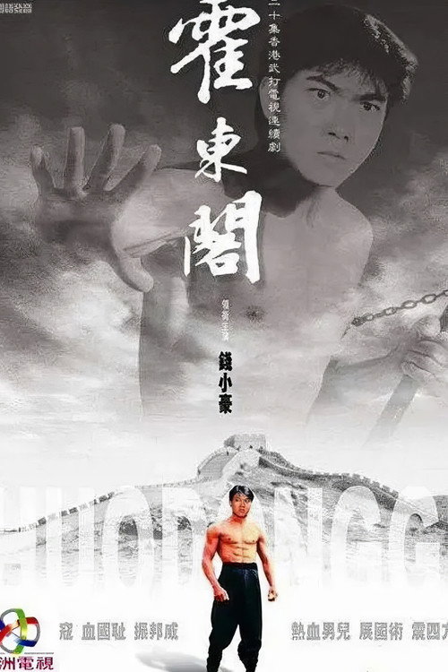 霍东阁 封面