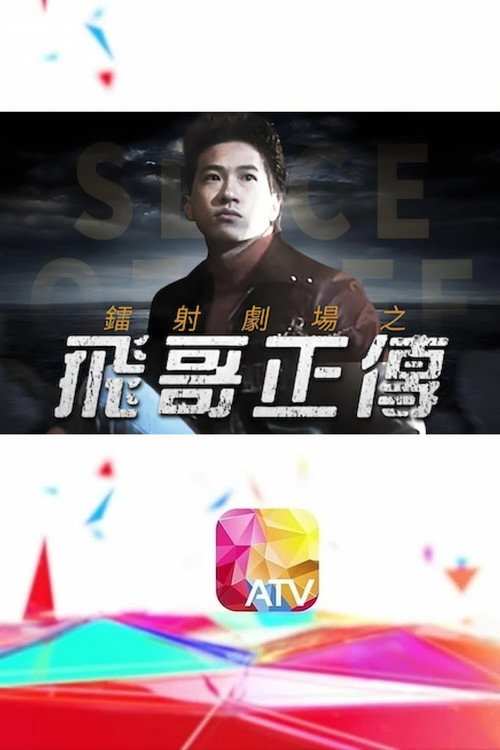 镭射剧场之飞哥正传 封面