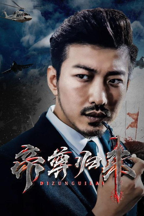 帝尊归来 封面