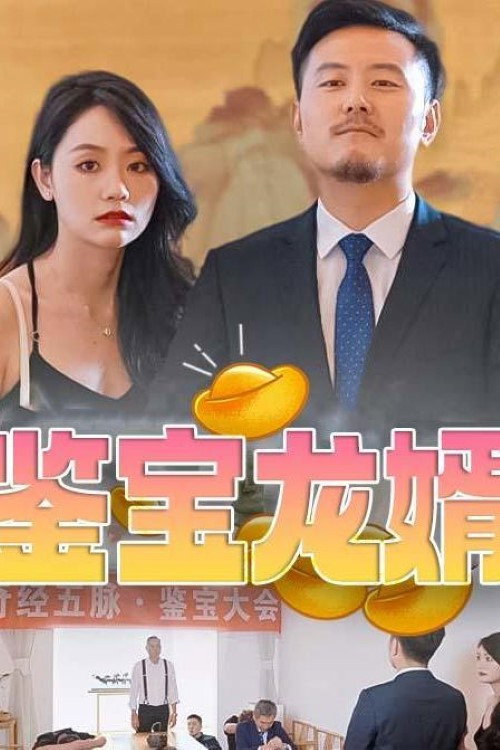 鉴宝龙婿 封面